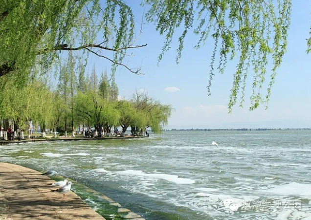 昆明文旅