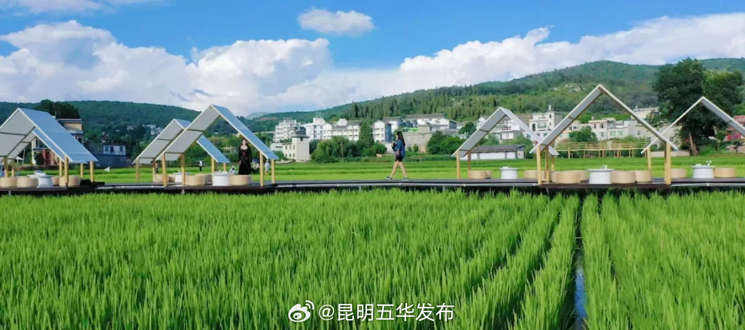 昆明五华发布