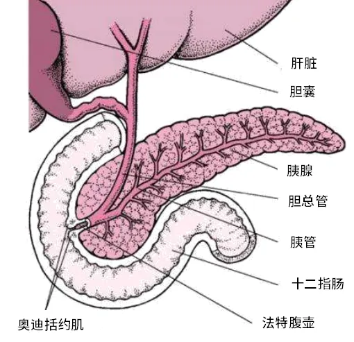 云南省第三人民医院
