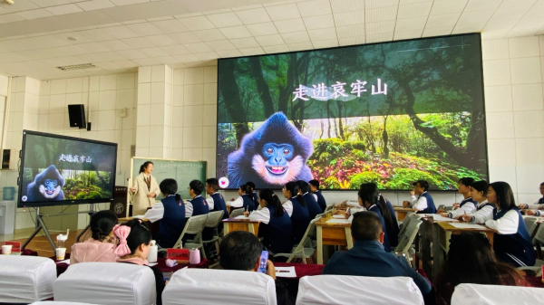 盘龙教育