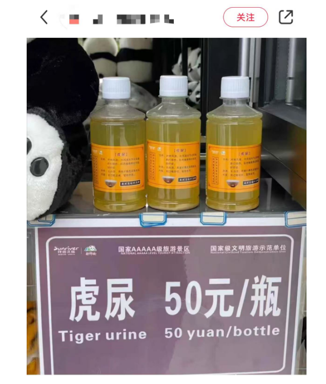 春城晚报