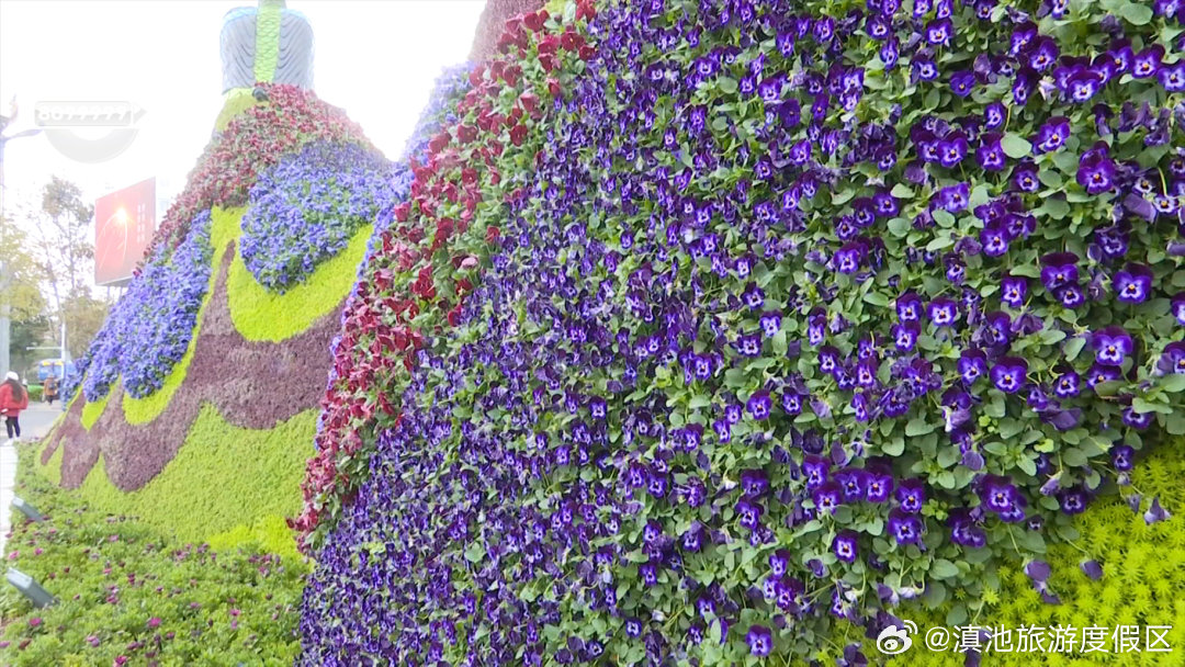 滇池旅游度假区