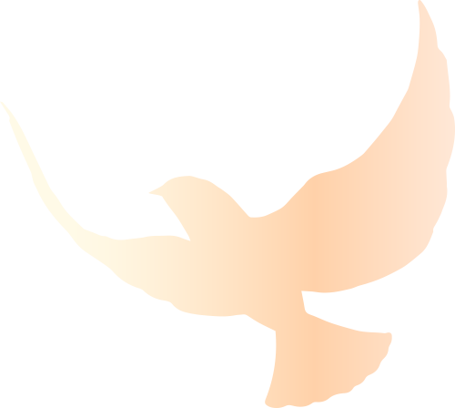 云南省中医医院