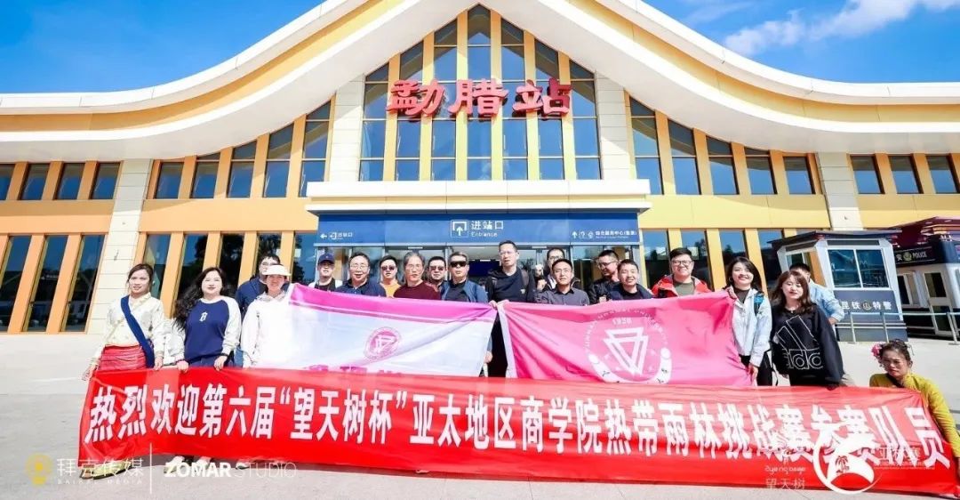 西双版纳望天树景区