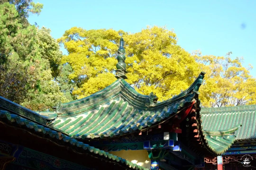 昆明文旅