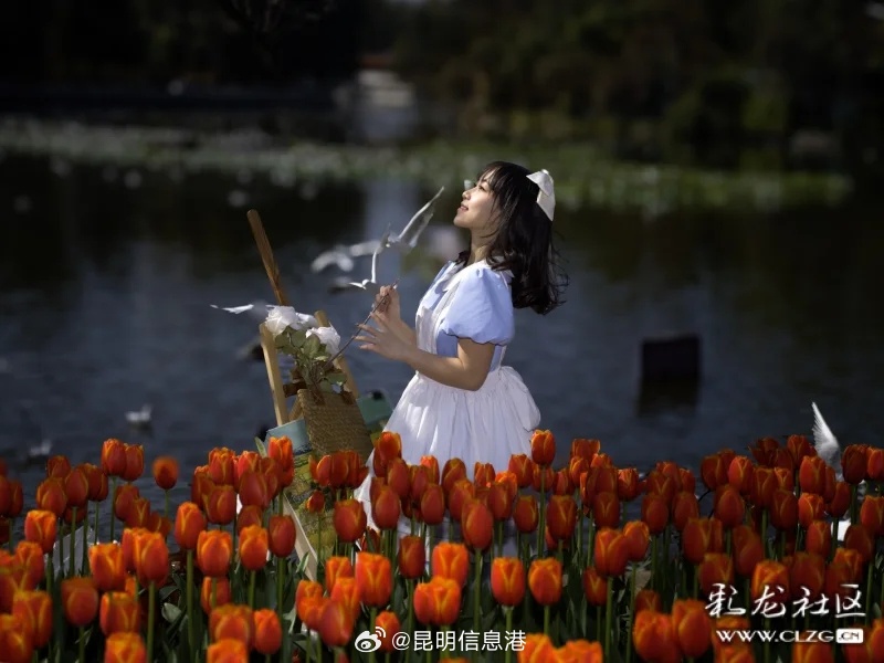 昆明信息港微博