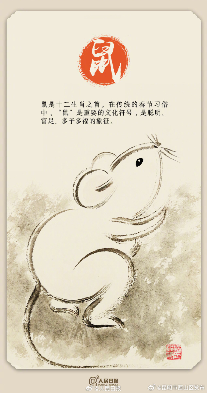 昆明市西山区发布