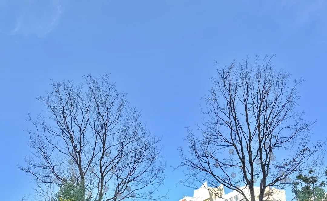 8099999街头巷尾微信