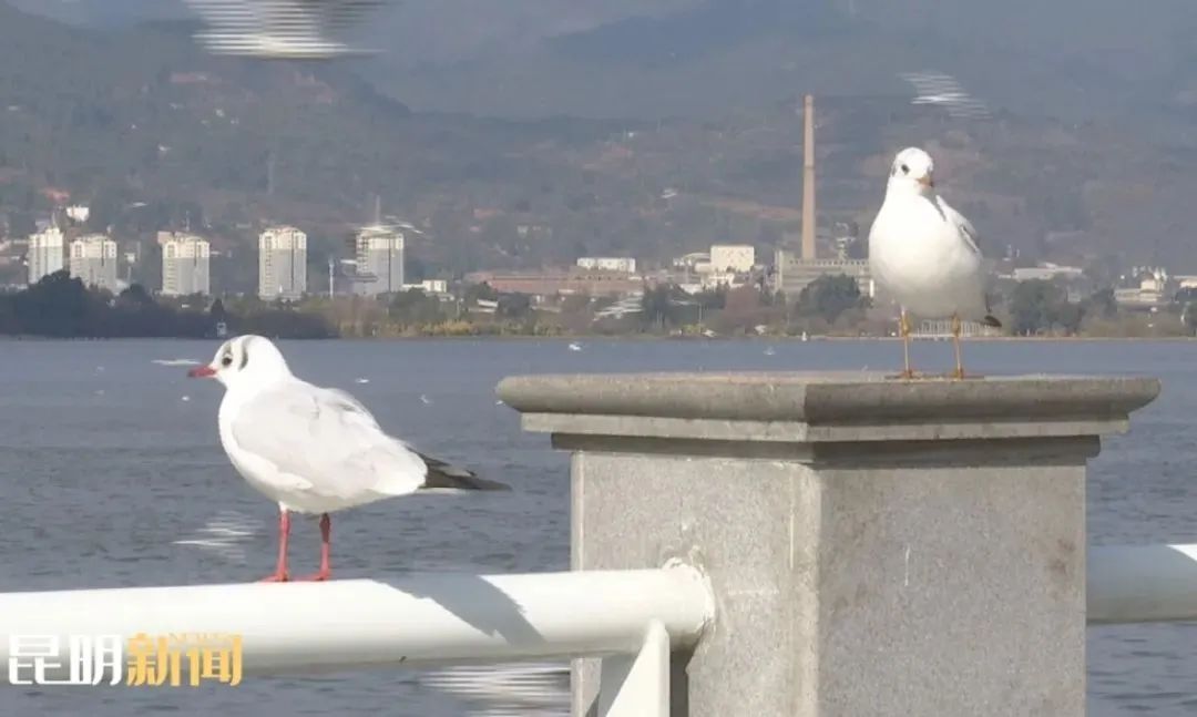 昆明生态环境