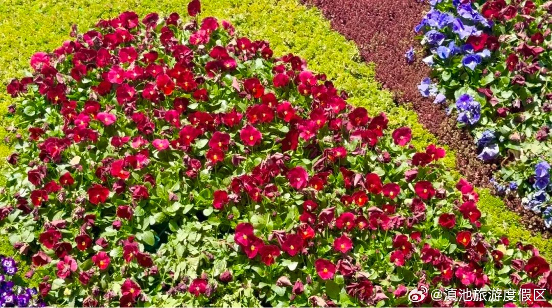 滇池旅游度假区