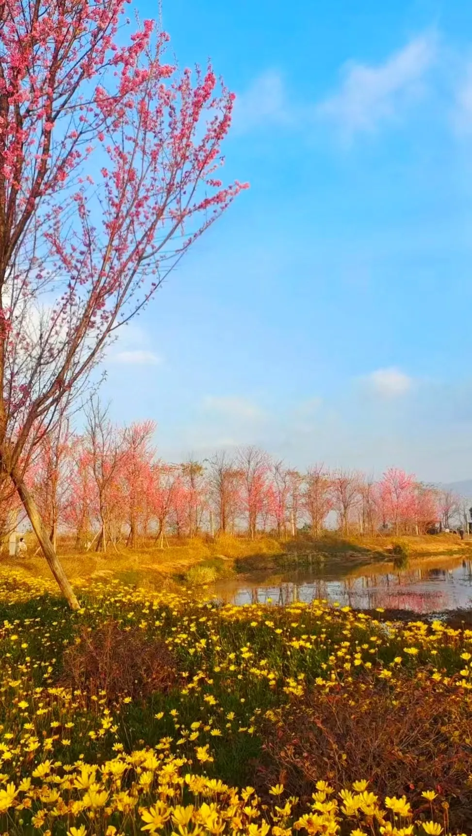 昆明文旅