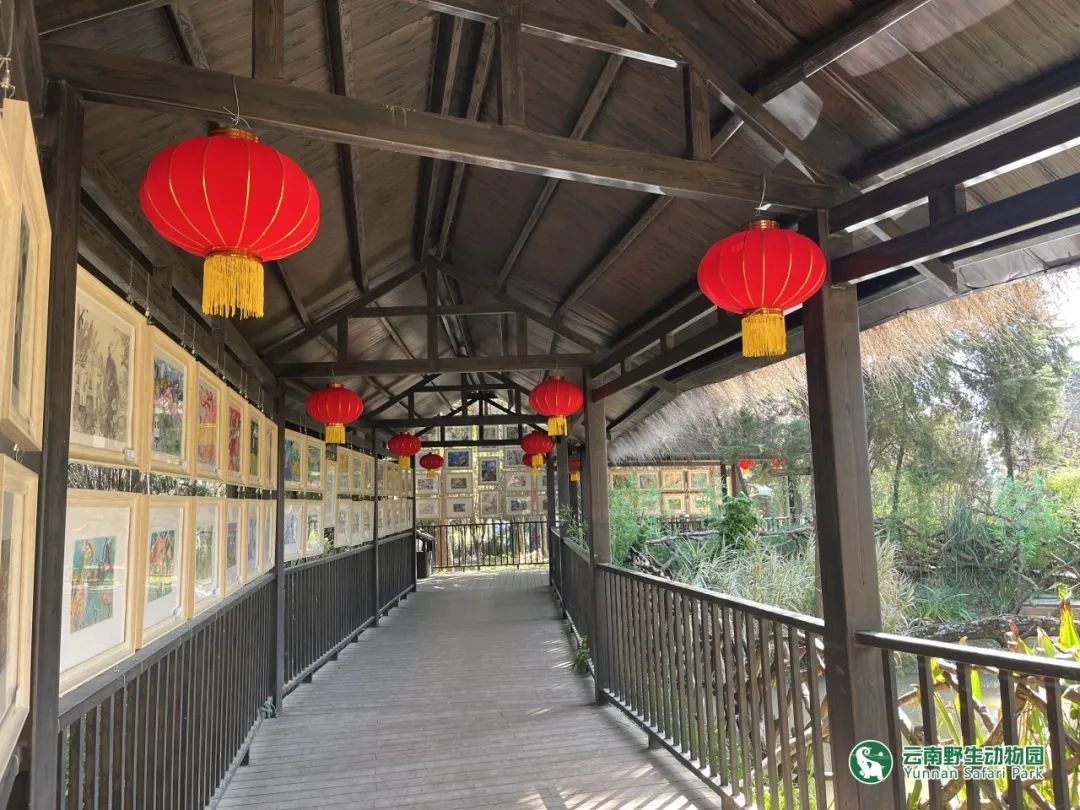 云南野生动物园