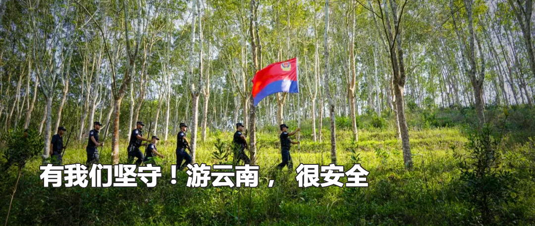 云南政法