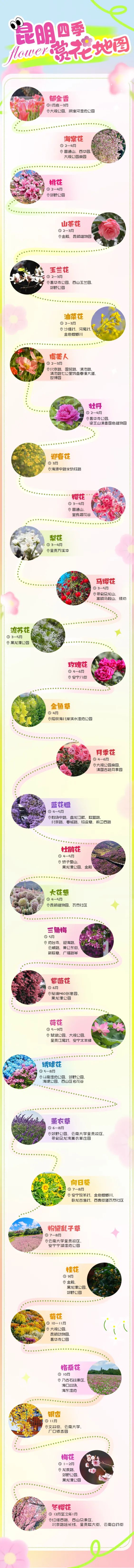 昆明文旅