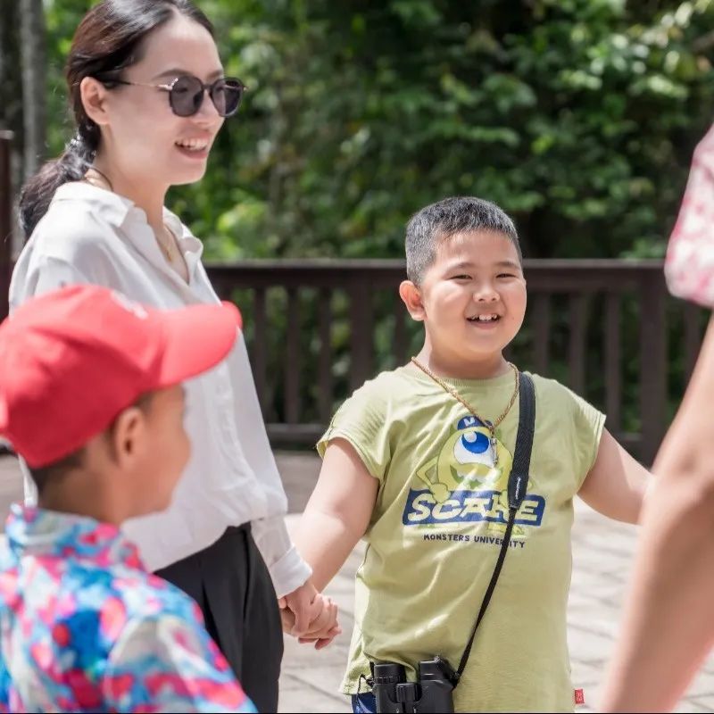 西双版纳望天树景区