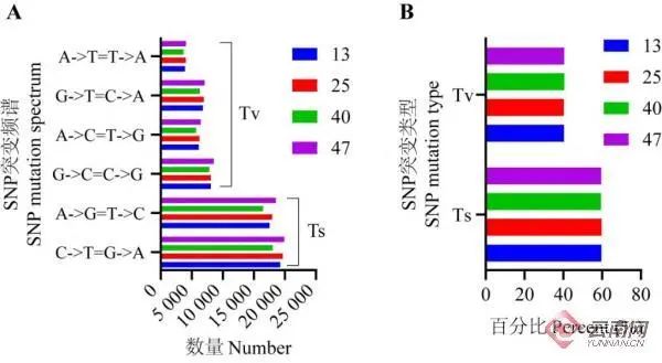 美丽云南微科普