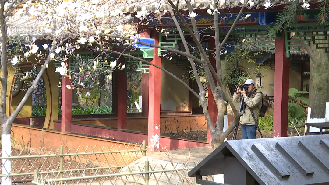 8099999街头巷尾微信