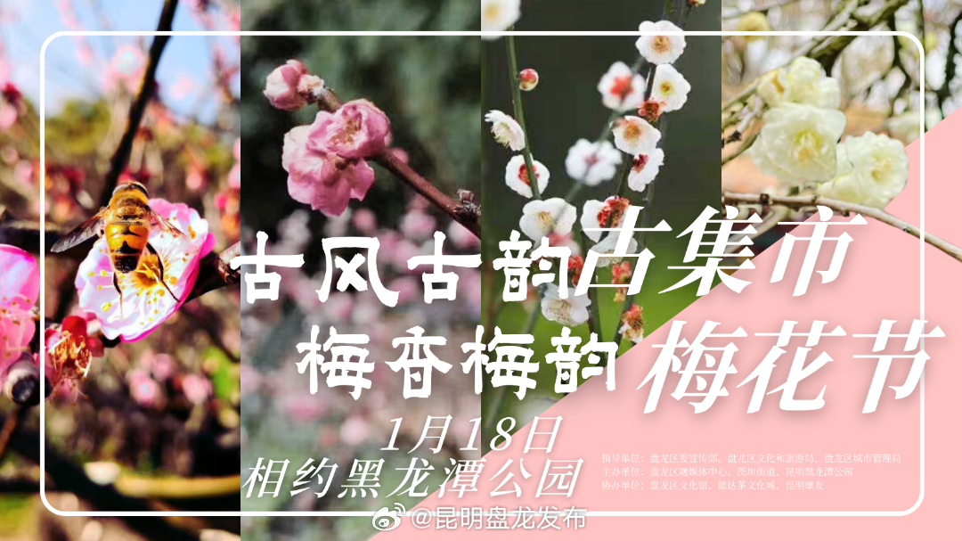黑龙潭公园第29届梅花节来了！请看出行攻略→