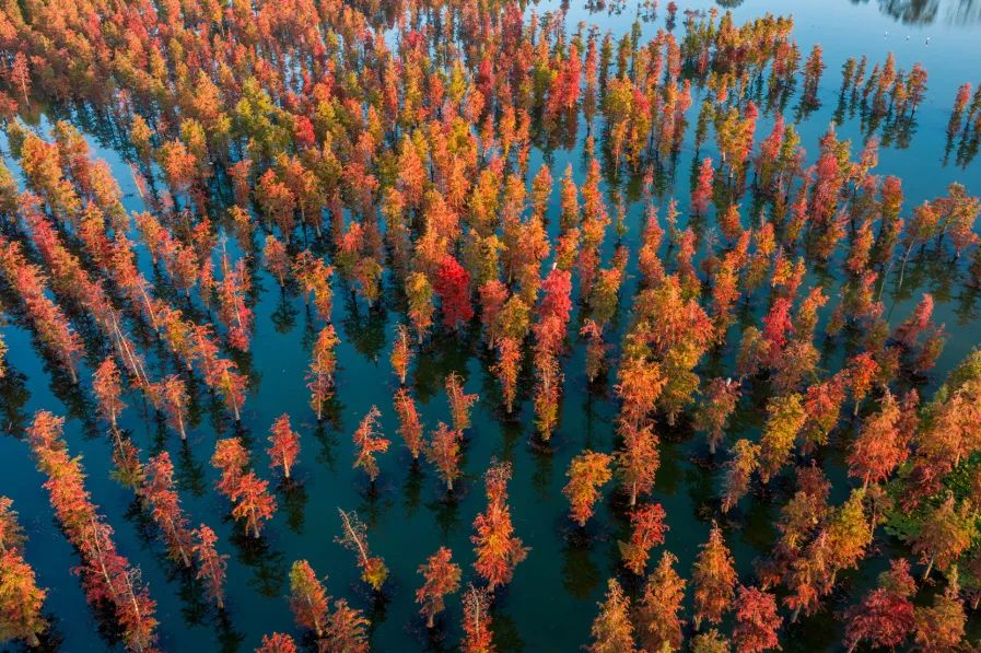 晋宁 诗意的栖居地
