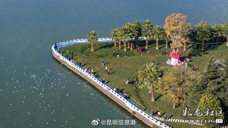 昆明信息港微博