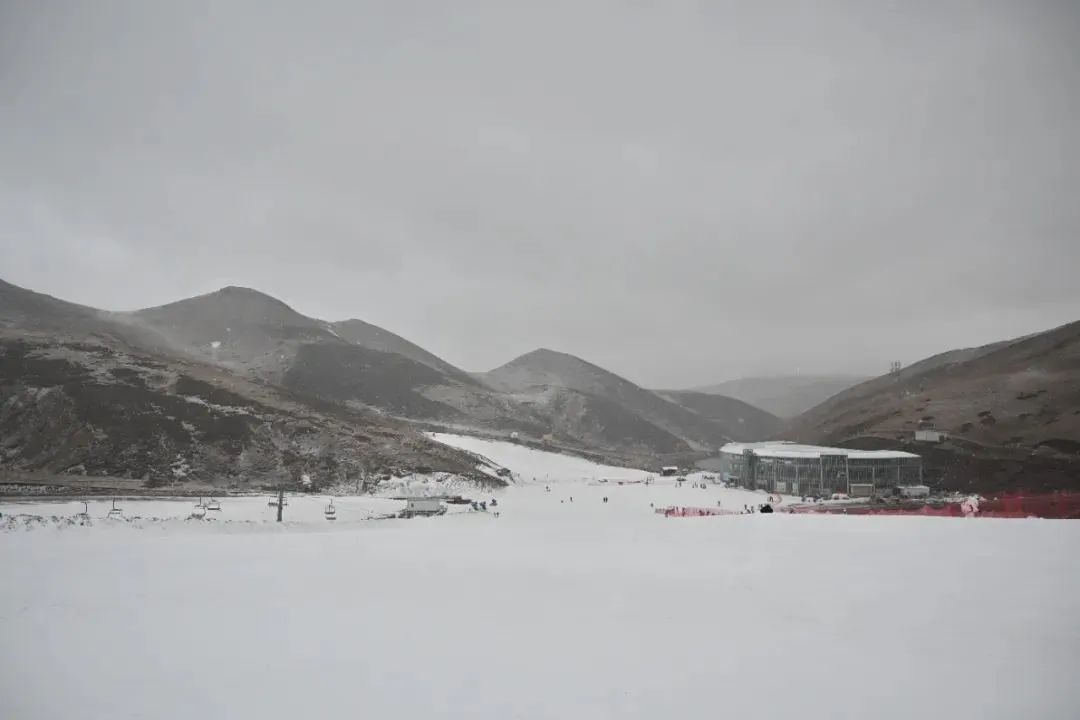 8099999街头巷尾微信