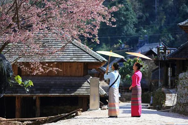 云南省人民政府