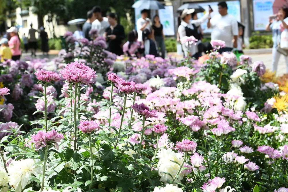 昆明文旅