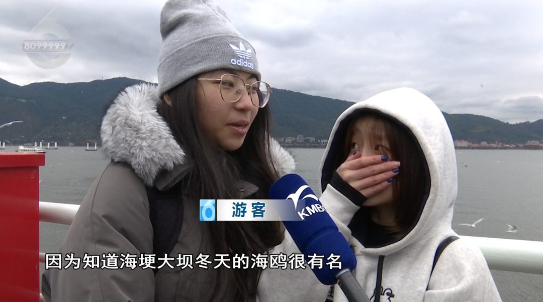 8099999街头巷尾微信