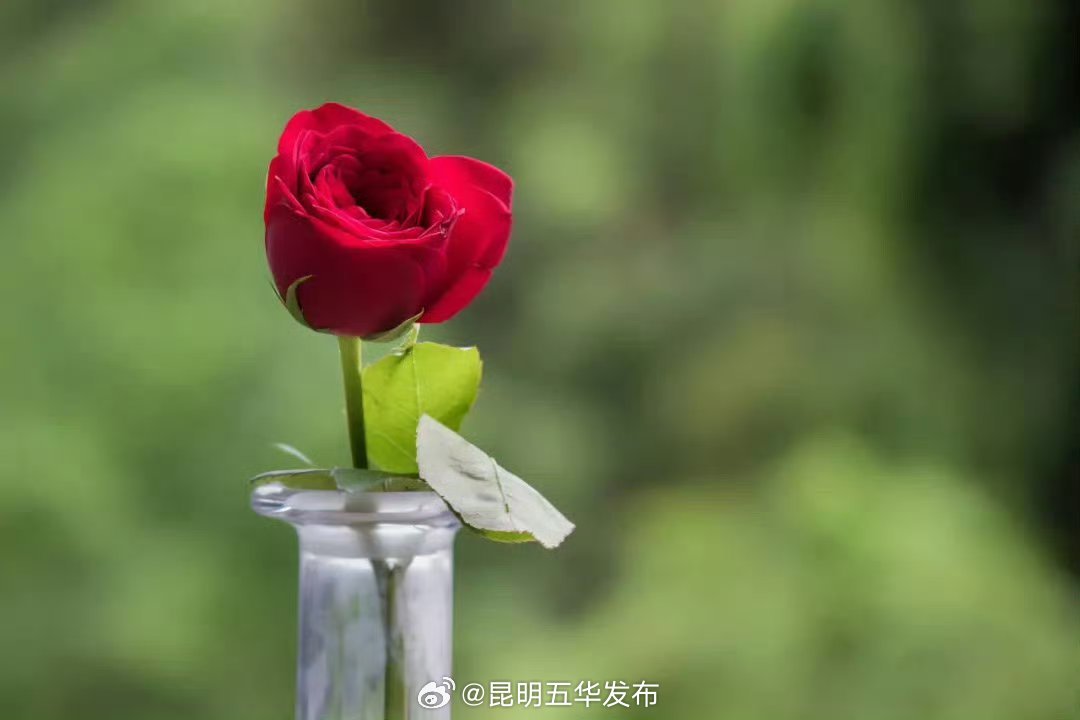 气血好的人通常有5个特点