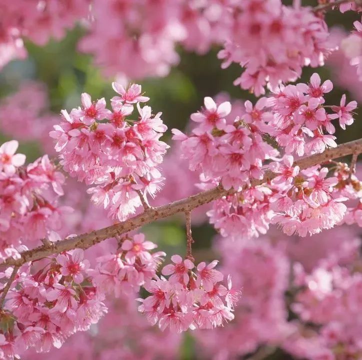 悦读嵩明