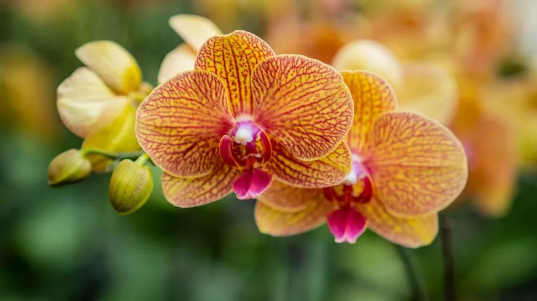 晋宁 诗意的栖居地