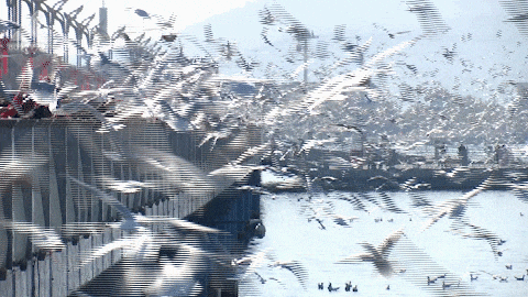 8099999街头巷尾微信