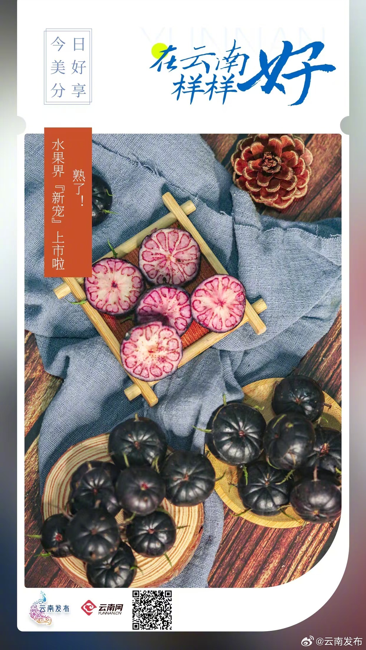 熟了！水果界新宠上市啦