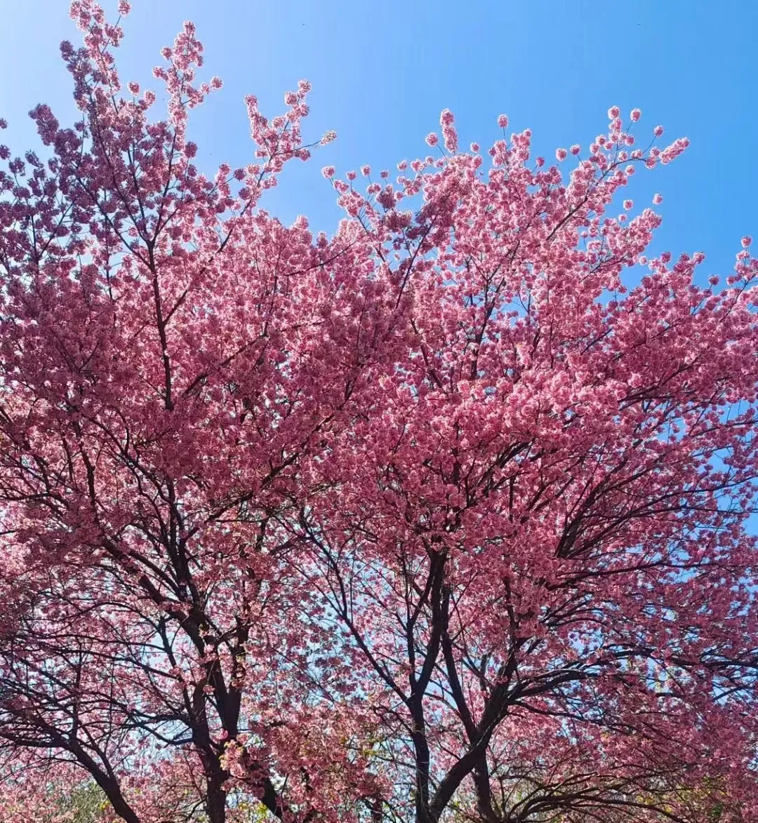 昆明文旅