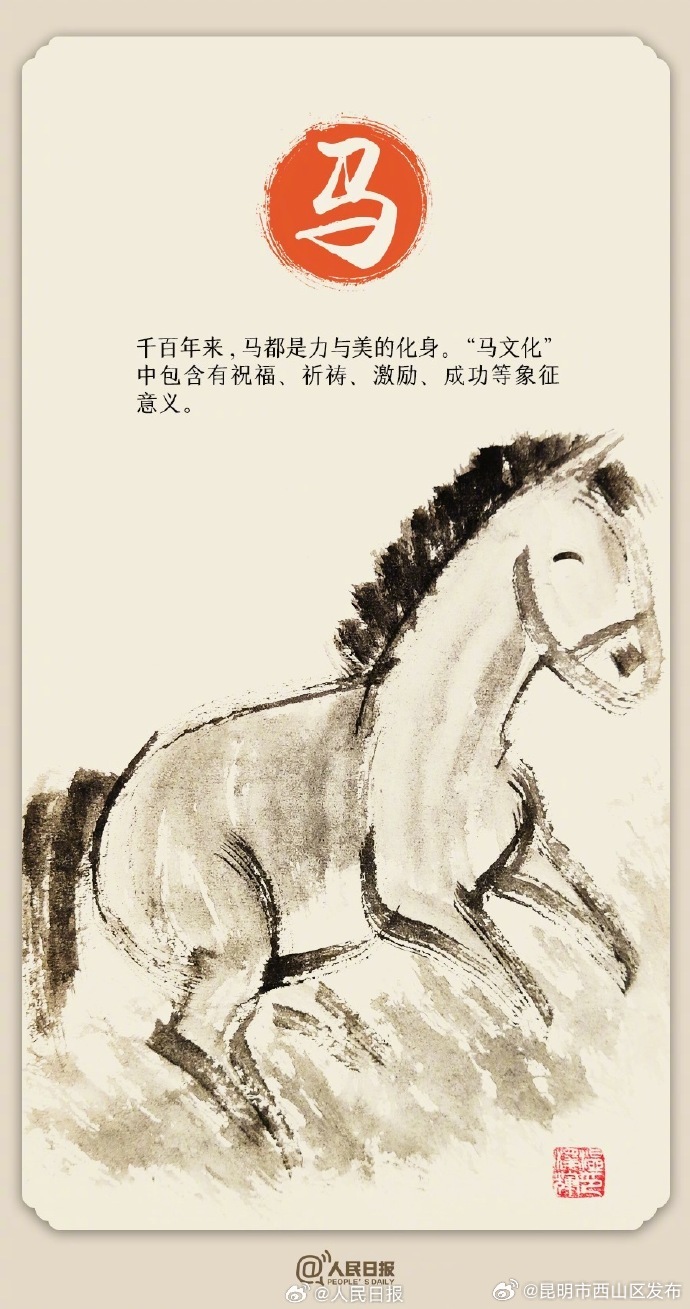 昆明市西山区发布