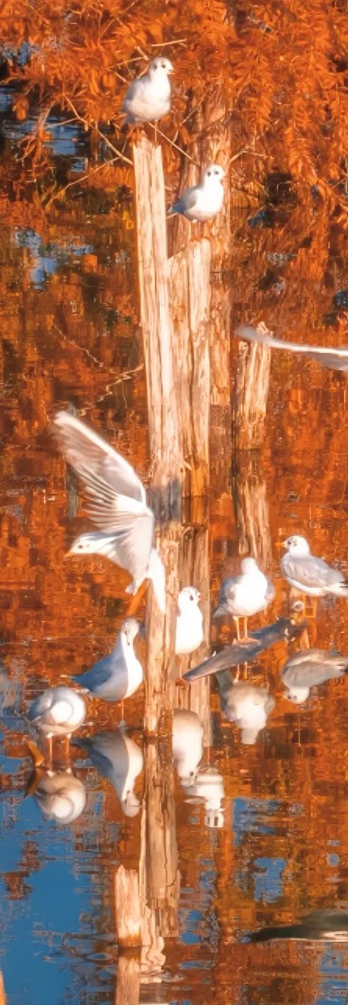 晋宁 诗意的栖居地