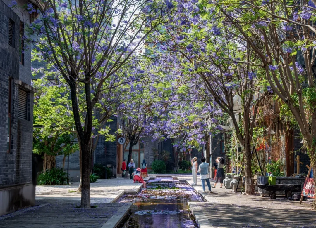 昆明文旅