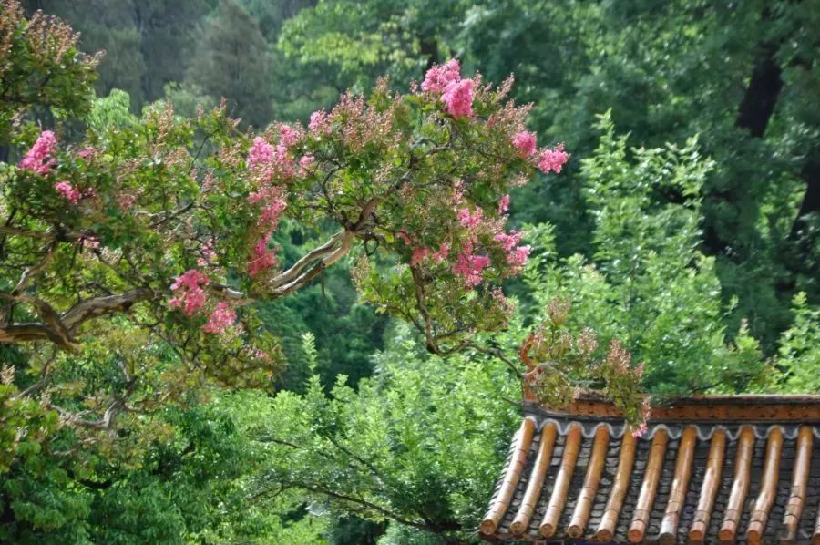 昆明文旅