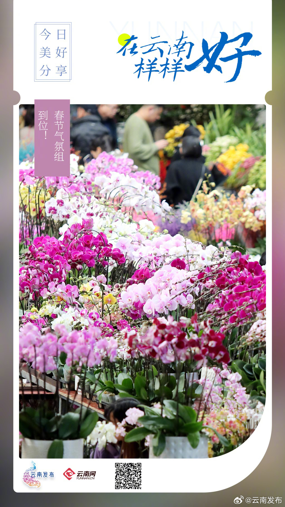 春节气氛组，到位！