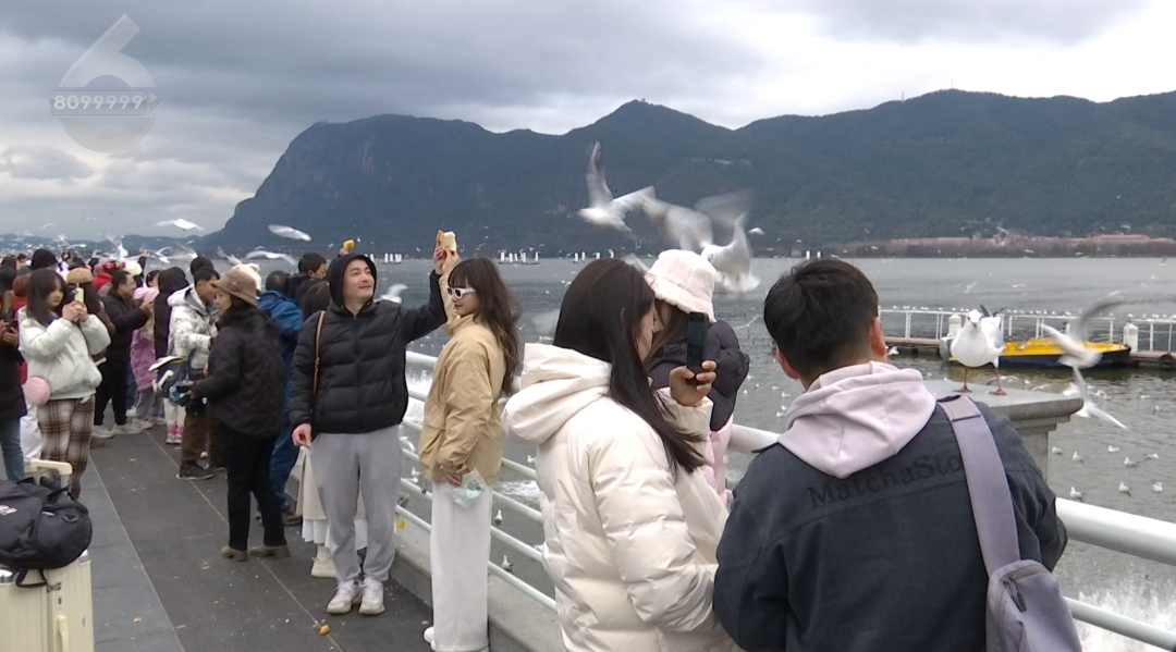 8099999街头巷尾微信