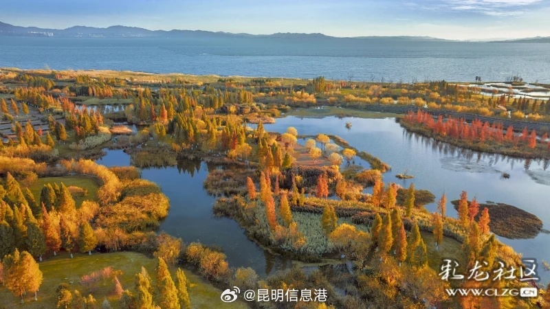 昆明信息港微博