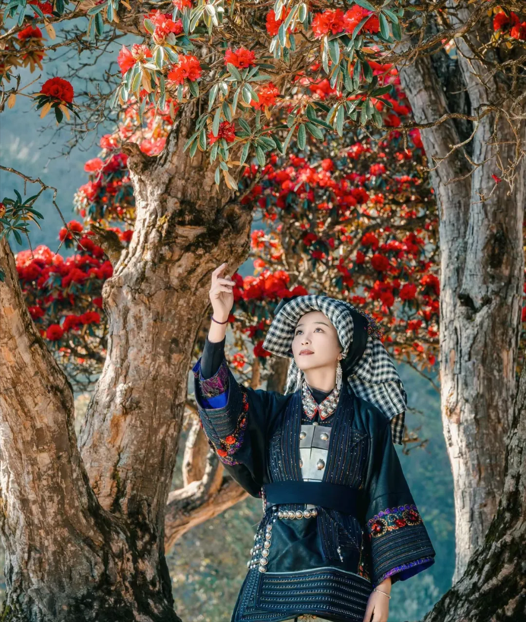 悦读嵩明