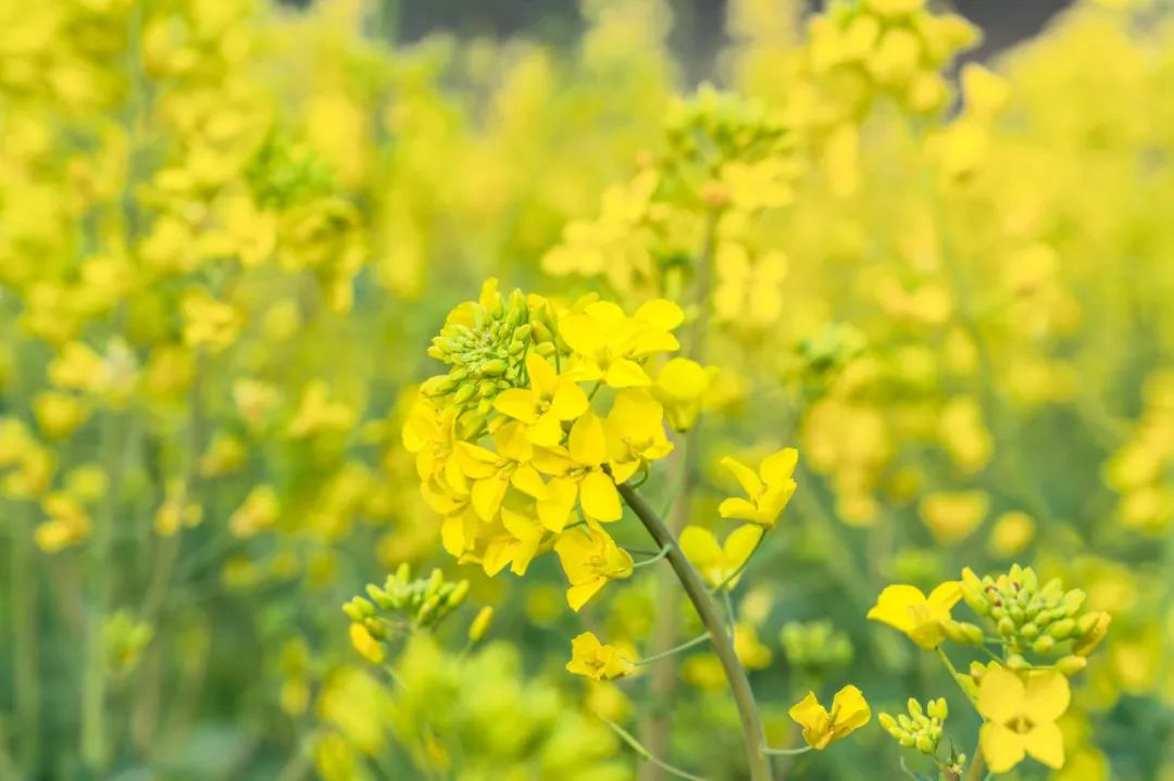 晋宁 诗意的栖居地