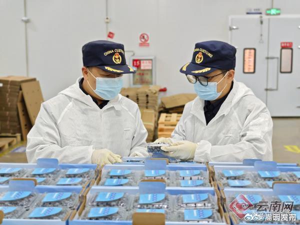 西部第一！云南省2024年农产品出口贸易额达191.7亿元