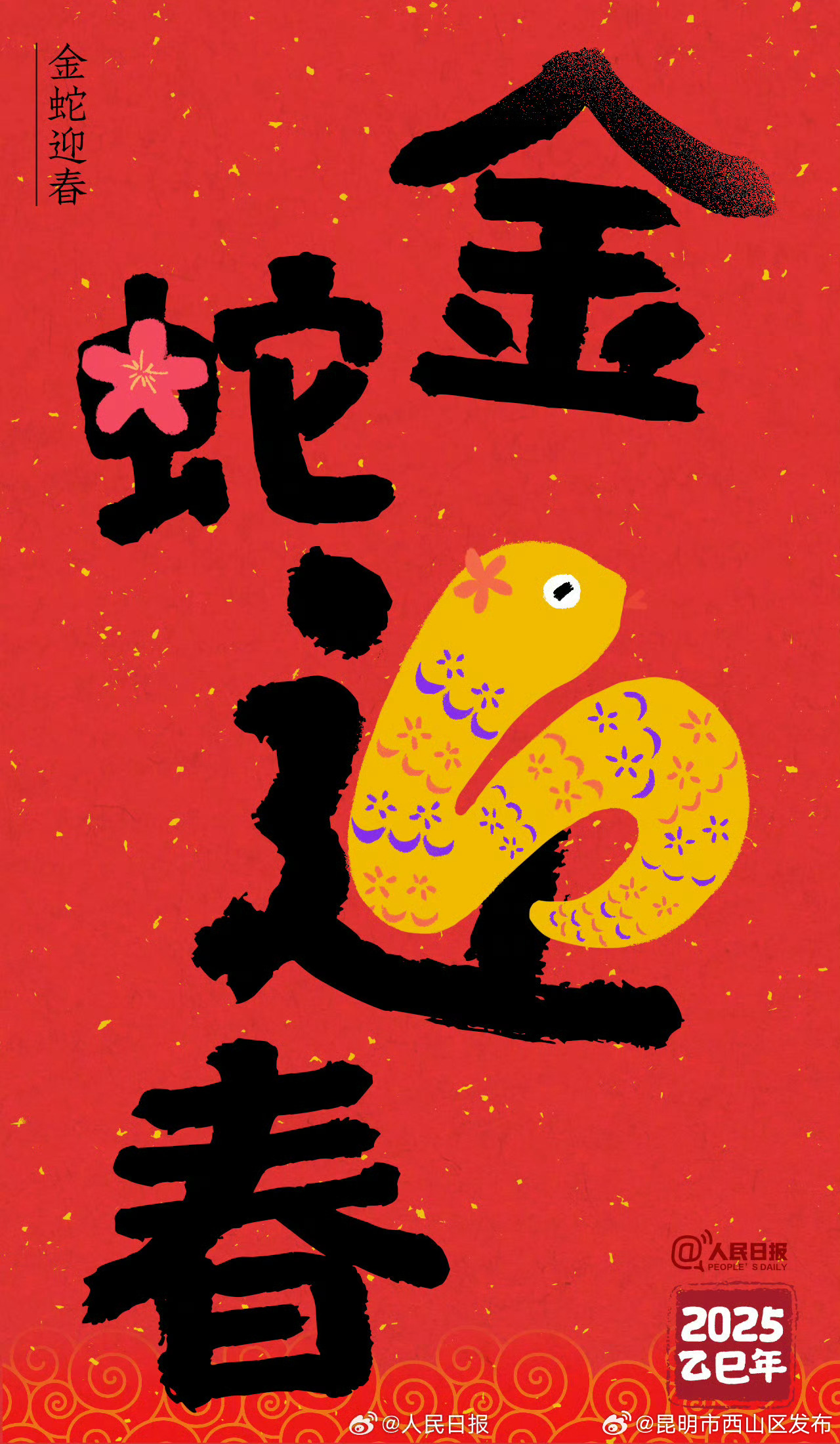 昆明市西山区发布