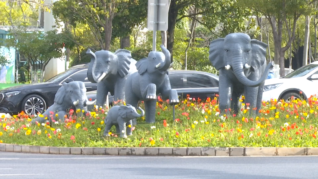 8099999街头巷尾微信