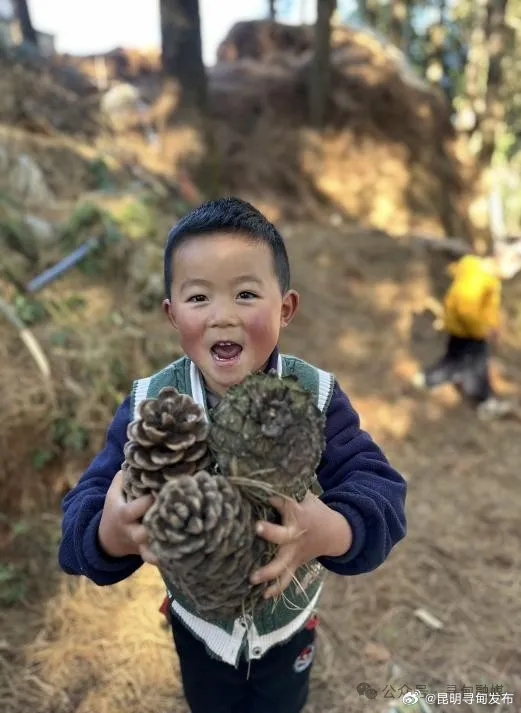 昆明寻甸发布