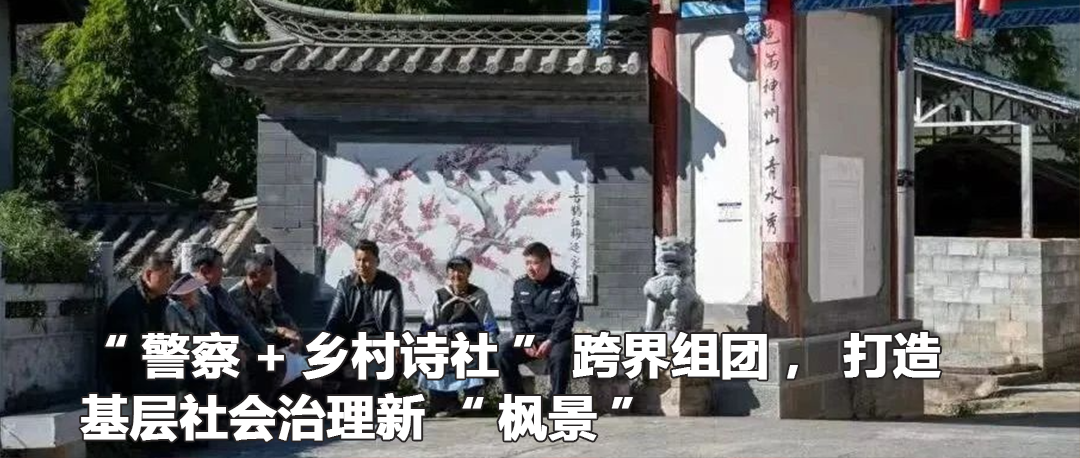 云南政法