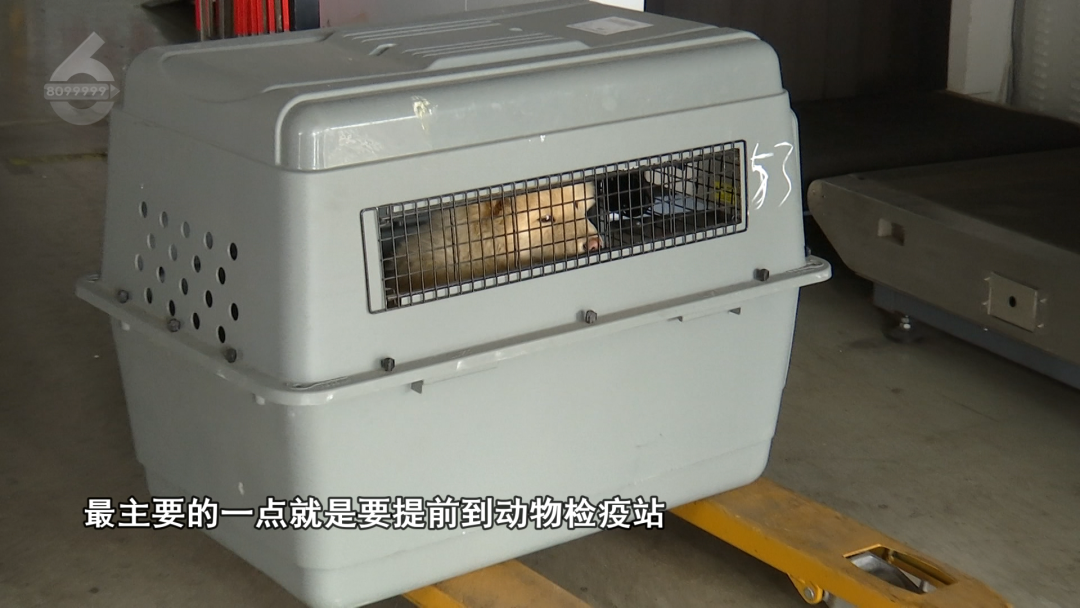 8099999街头巷尾微信