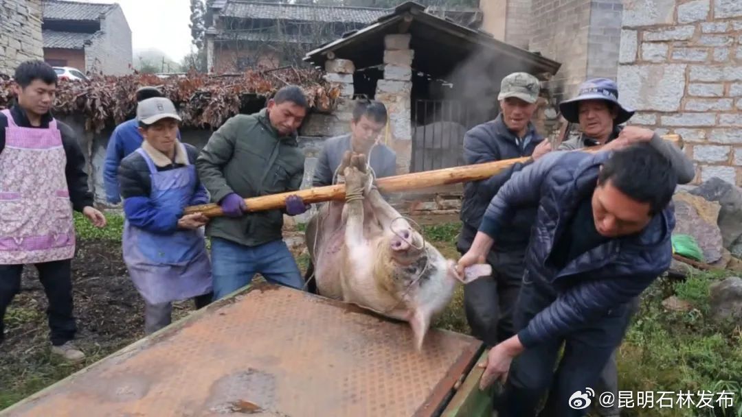 昆明石林发布